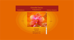 Desktop Screenshot of griseldaenciso.de